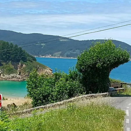 Xilloi O Vicedo